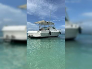 Sea Life Charters – Stamas Express