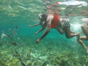 A group of snorkelers explores vibrant underwater life, swimming among colorful fish and coral in crystal-clear waters — a perfect adventure for marine enthusiasts.