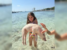 A young girl joyfully holds a pig while wading in crystal-clear waters, showcasing a unique wildlife interaction in the Bahamas.