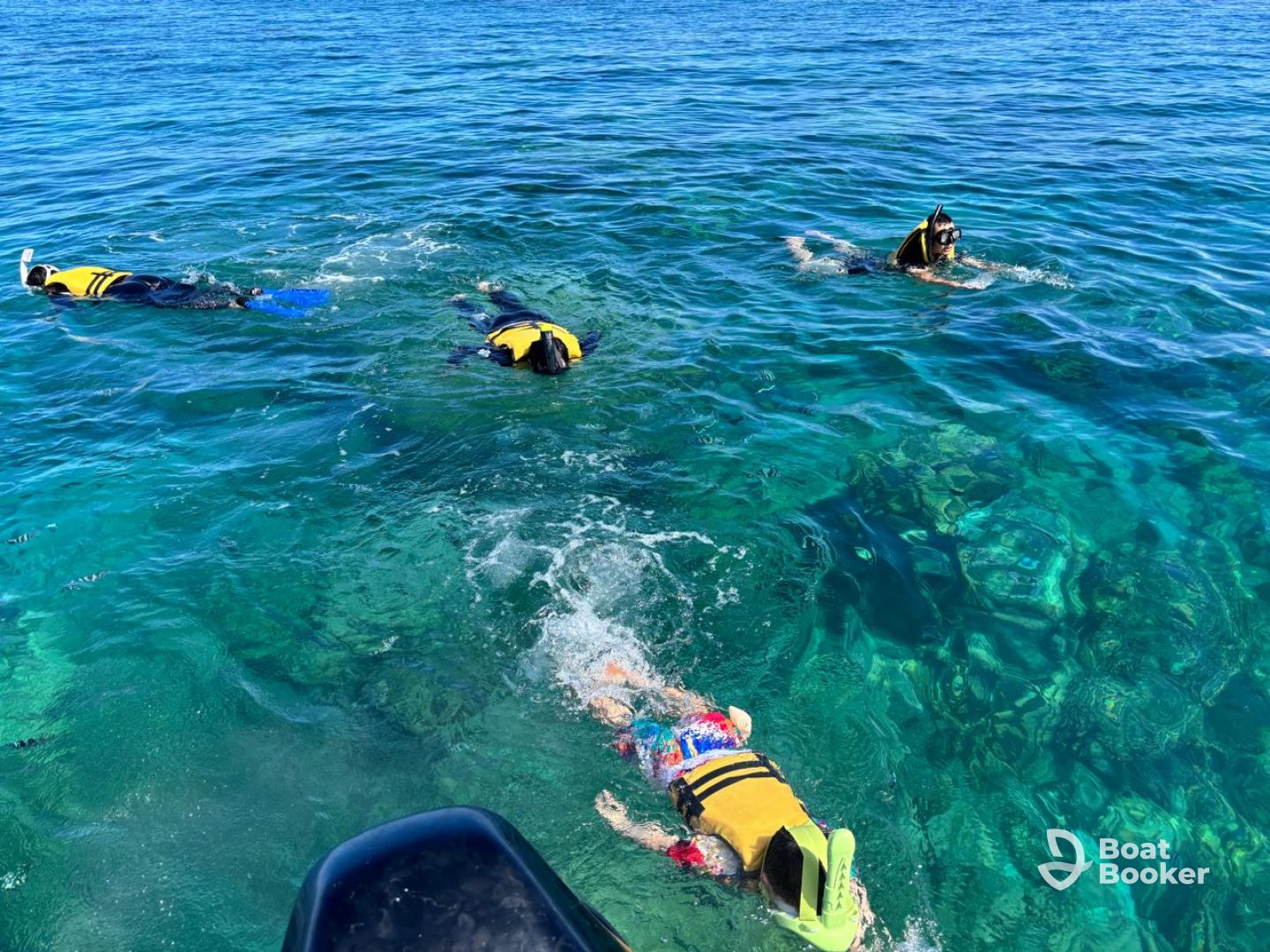 Dolswim Ltd