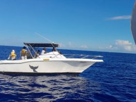 Charter Image