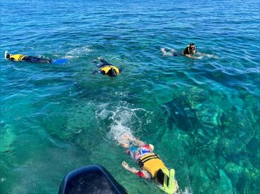 Dolswim Ltd