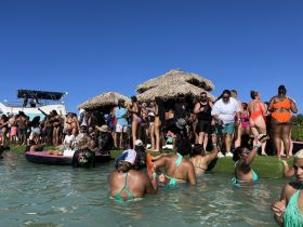 A vibrant crowd enjoys a lively beach party, with guests swimming and celebrating under the sun — the perfect backdrop for unforgettable summer memories.