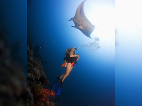 A diver interacts with a majestic manta ray underwater, showcasing the beauty of marine wildlife and the thrill of diving adventures.