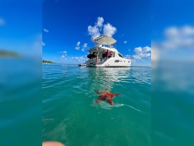A vibrant starfish swims in clear turquoise waters near a boat, showcasing a beautiful marine encounter during a day on the water.