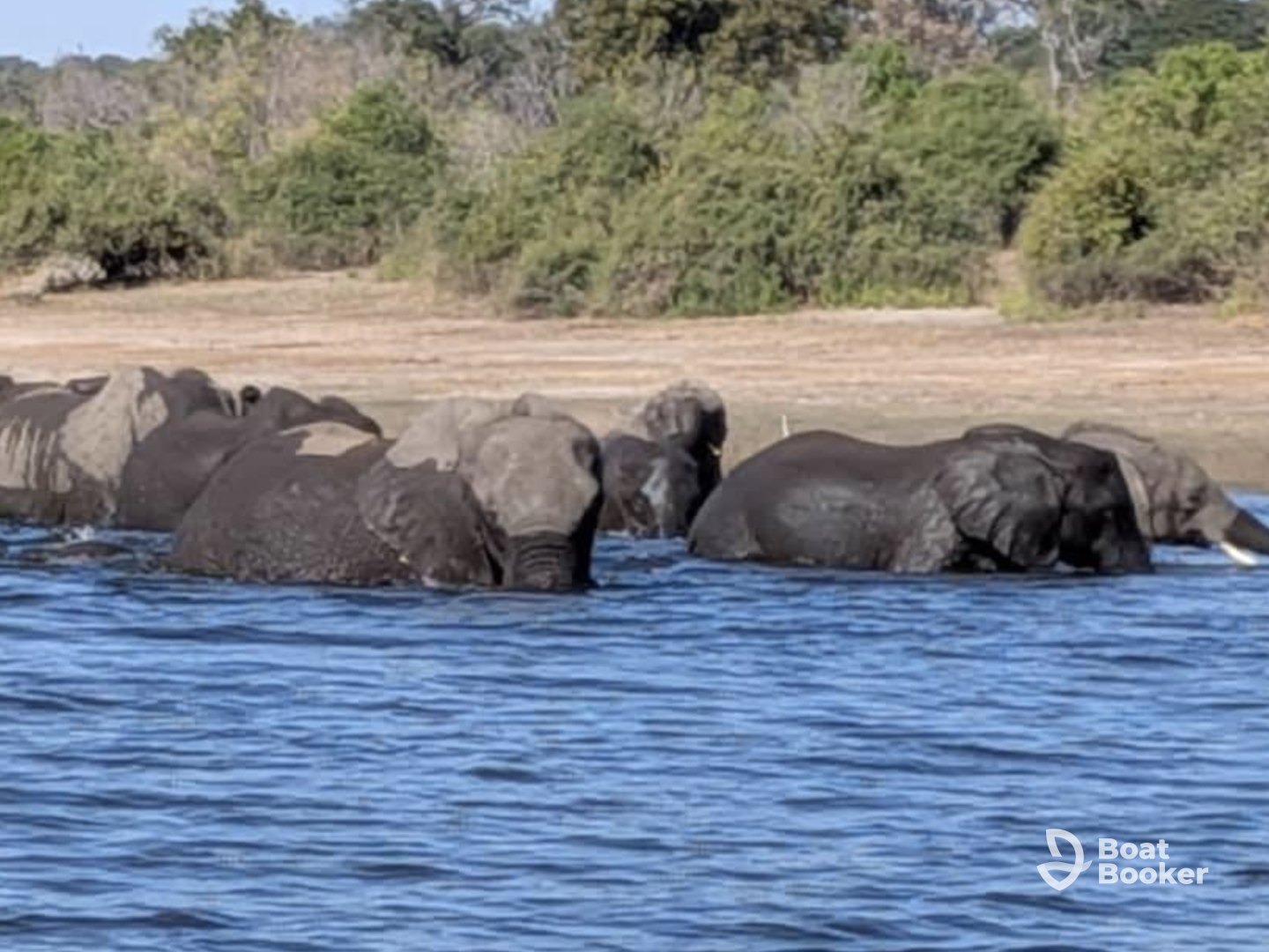 Moo British Tour & Safaris