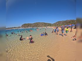A vibrant beach scene filled with families and friends enjoying the clear waters and sandy shores — perfect for a day of fun in the sun.