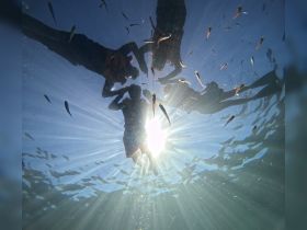 A group of snorkelers interacts with colorful fish underwater, capturing the vibrant marine life experience — perfect for adventure seekers and ocean lovers.