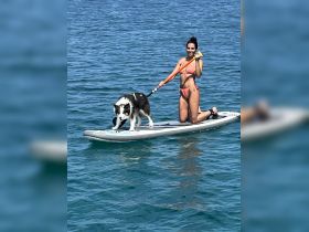 A woman paddleboards with her dog in clear blue waters, showcasing a fun and adventurous day on the water.
