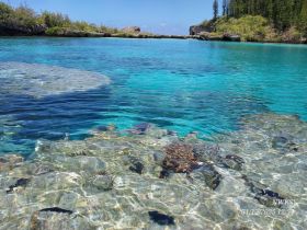 A stunning view of crystal-clear turquoise waters and a serene coastline, perfect for exploring the beauty of nature and enjoying water activities.