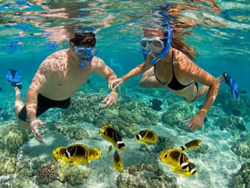 A couple enjoys snorkeling in crystal-clear waters, surrounded by vibrant fish and coral — a perfect underwater adventure.