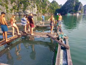A group of travelers engages in a fishing experience on wooden platforms in serene waters, surrounded by stunning rock formations — a perfect adventure in nature.