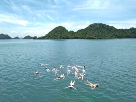 A lively group enjoys a refreshing swim in serene waters surrounded by lush islands, perfect for a fun day of water activities.