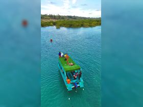 A lively group enjoys a day on a vibrant boat surrounded by stunning mangroves, perfect for social gatherings and water adventures.