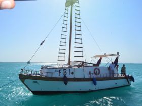 A traditional sailing vessel navigates through turquoise waters, with crew members visible on deck, showcasing the beauty of a maritime adventure.