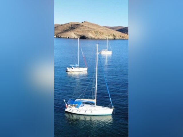 Listing image 1160171