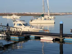 A serene marina scene featuring a fishing boat at the dock with a person preparing for a day on the water, while a dog strolls along the pier.