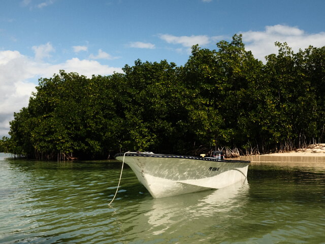Listing image 1169266