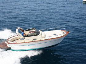 A speedboat glides through the water with a captain at the helm, showcasing the thrill of boating adventures on the open sea.