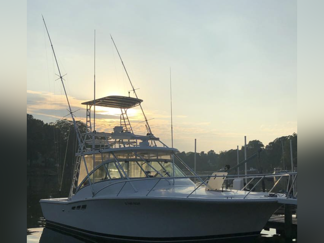 Listing image 1160767