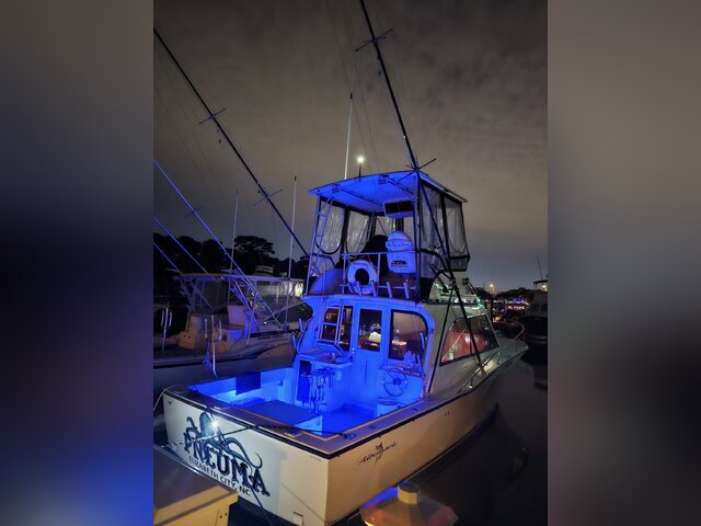 Listing image 1160835