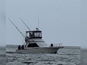 Charter Image