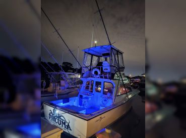 Shelton's Charter Fishing