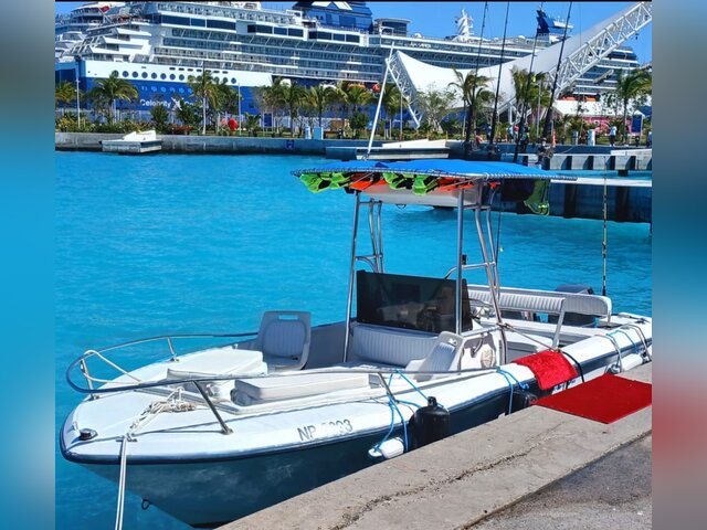 Listing image 1161739