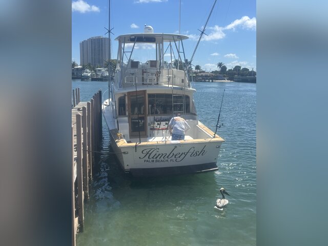 Listing image 1161237