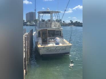 Good Mojo Charters