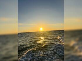 A stunning sunset over the ocean, casting golden reflections on the water — a perfect backdrop for evening boat cruises.