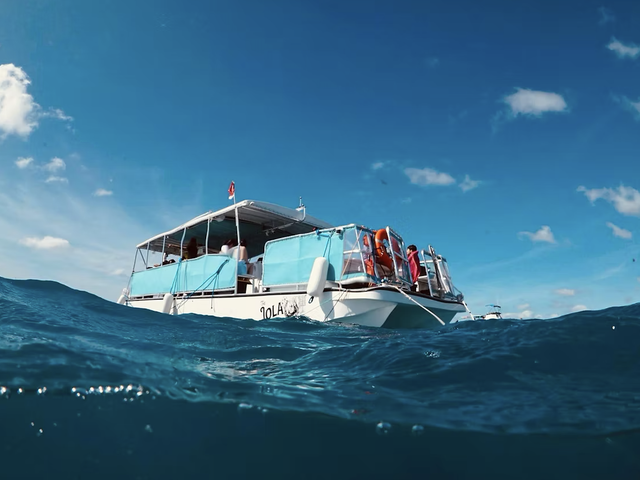 Listing image 1161632