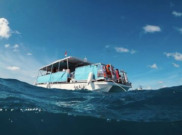 Honolulu Snorkel Company – The Lola