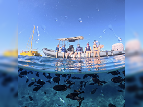 A group enjoys a snorkeling adventure, sitting on the edge of a boat with vibrant fish swimming below — a perfect day for marine exploration.
