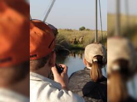 Guests on a boat observe wildlife in their natural habitat, capturing the moment with cameras — a thrilling experience for nature lovers.