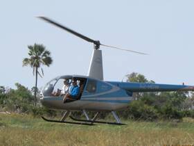 We boat cruise and scenic flight over the Okavang