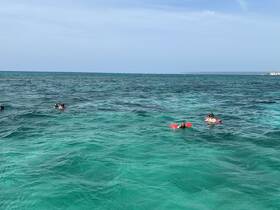 A group of snorkelers enjoys the vibrant underwater world in crystal-clear waters, perfect for aquatic adventures and exploration.