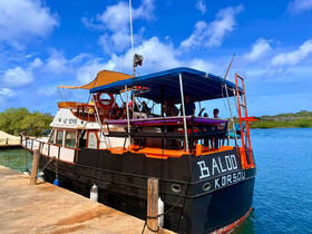 The 'Baloo' boat is docked, showcasing its vibrant exterior against a picturesque backdrop, perfect for group outings and adventures.
