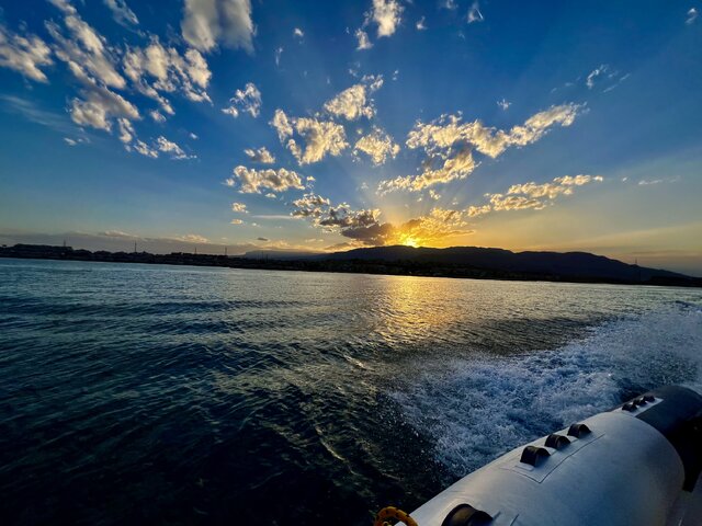 Listing image 1162386