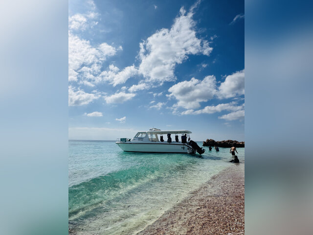 Listing image 1162451