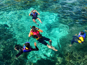 A group of snorkelers enjoys exploring vibrant underwater life in crystal-clear waters, making for an unforgettable aquatic adventure.