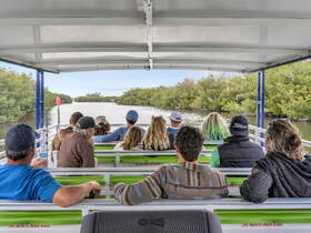 A group of guests enjoys a scenic boat ride through mangroves, taking in the natural beauty of the waterways — perfect for eco-tours and nature explorations.