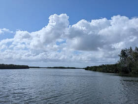 A serene view of a winding waterway surrounded by lush greenery and dramatic clouds, perfect for exploring the natural beauty of coastal ecosystems.