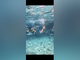 A group of snorkelers enjoys an underwater adventure surrounded by vibrant fish in crystal-clear waters — a perfect highlight of marine exploration.