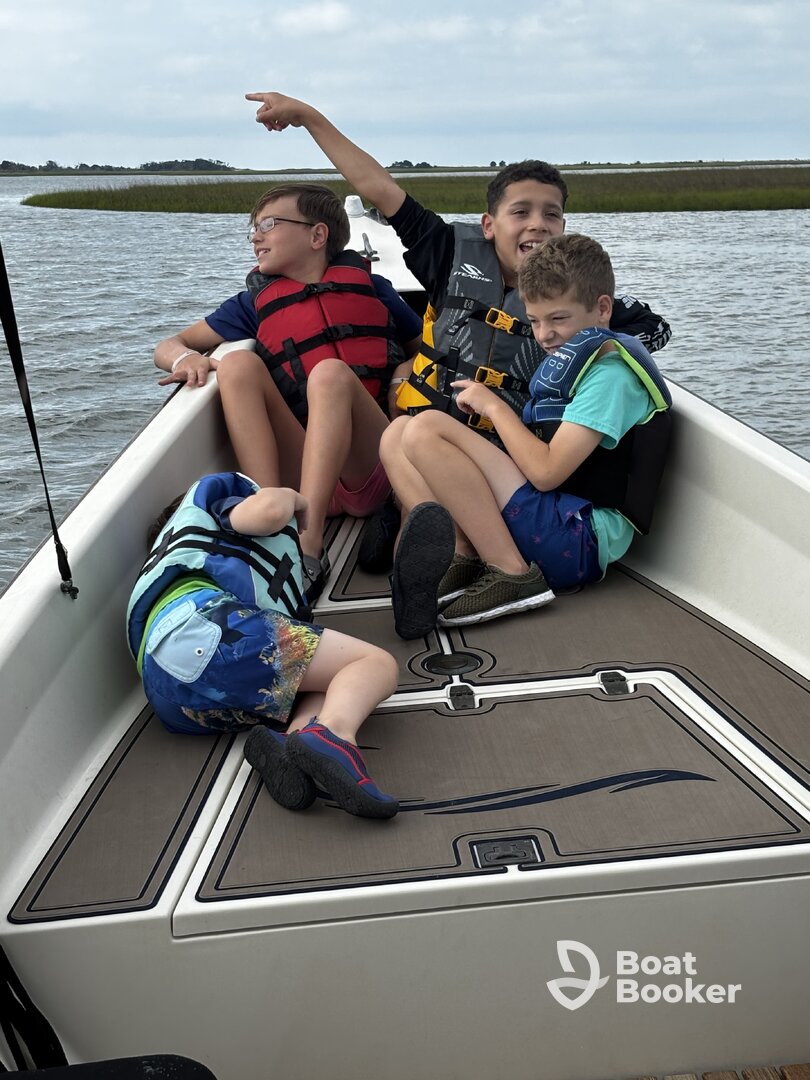 Sharks Teeth, Sand Dollars, Dolphins, & MORE!