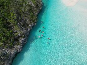 A vibrant group enjoys swimming in the crystal-clear turquoise waters, surrounded by lush greenery and sandy shores — a perfect tropical getaway.
