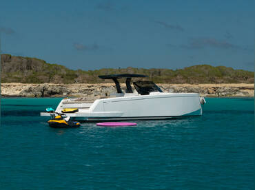Pardo 43