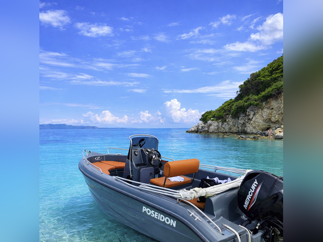 Listing image 1172328