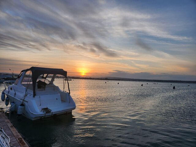 Listing image 1163507