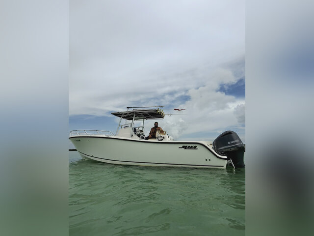 Listing image 1163784